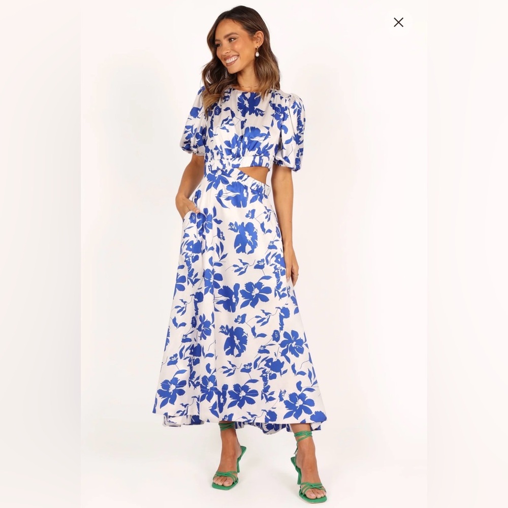 Petal & Pup Blue Floral Maxi Dress xs nwt